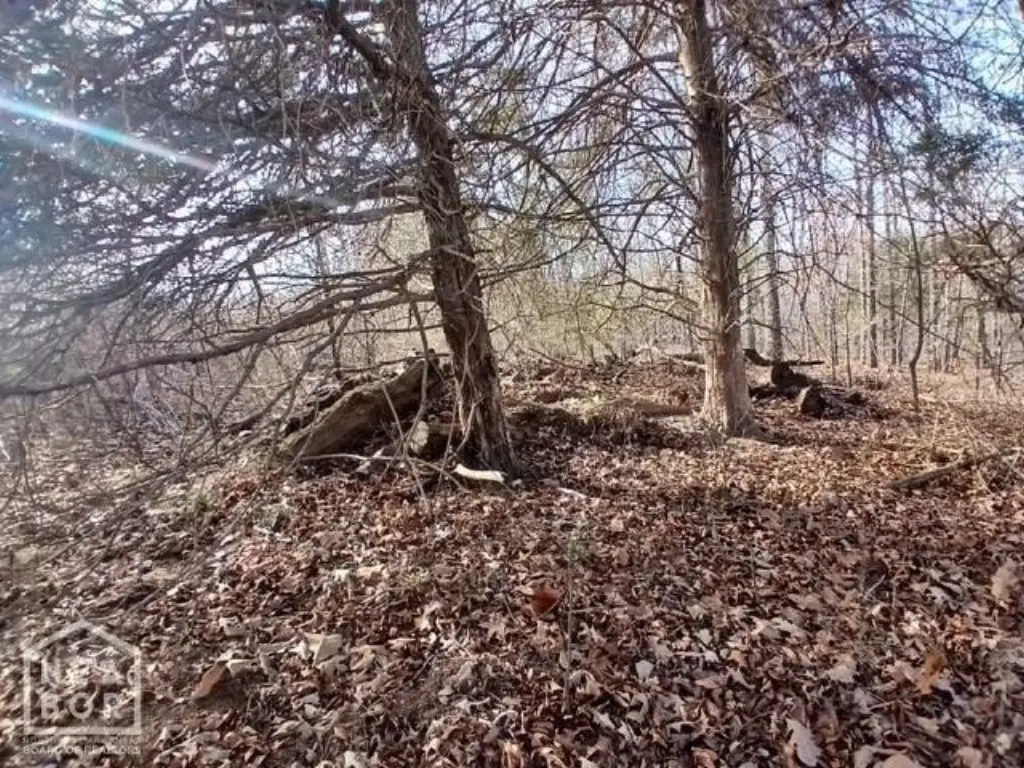 Picture 10