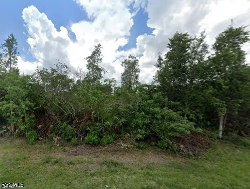 Picture 3
