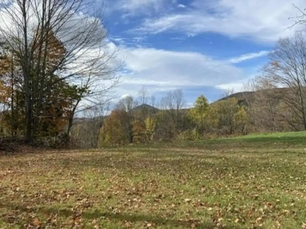 Picture 4