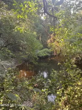 Hunting Land with Creek Frontage