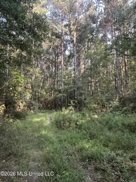 Picture 3