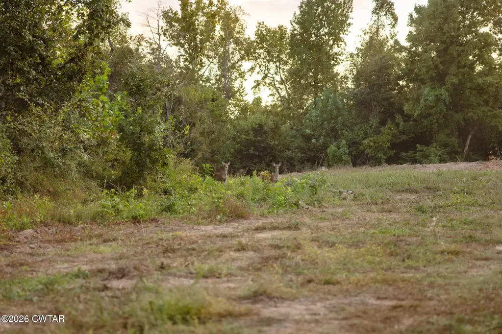 Picture 43