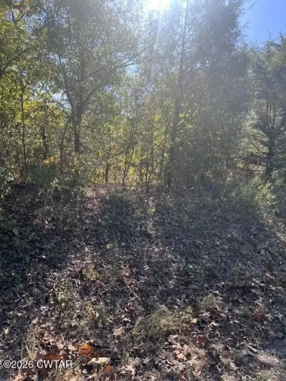 Picture 3