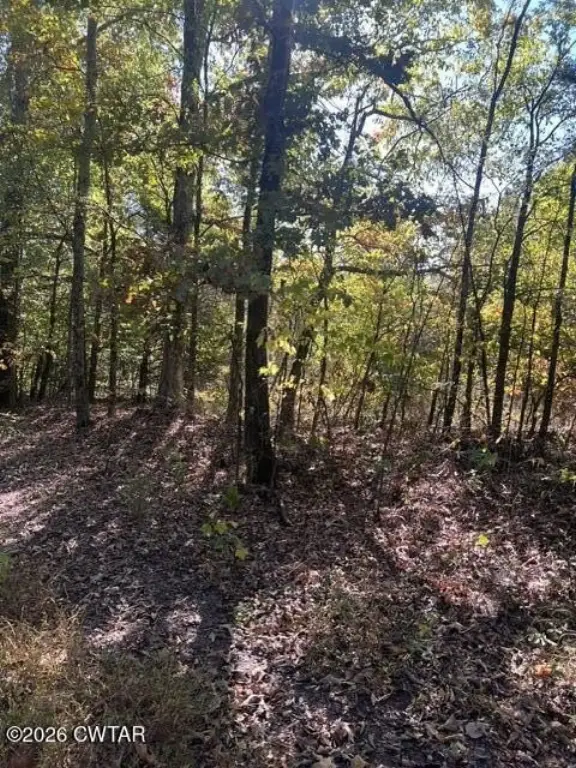 Picture 5