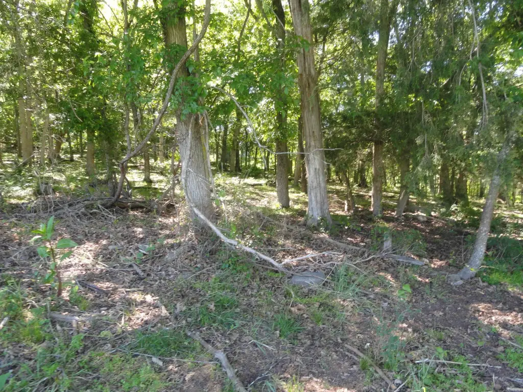 Picture 9