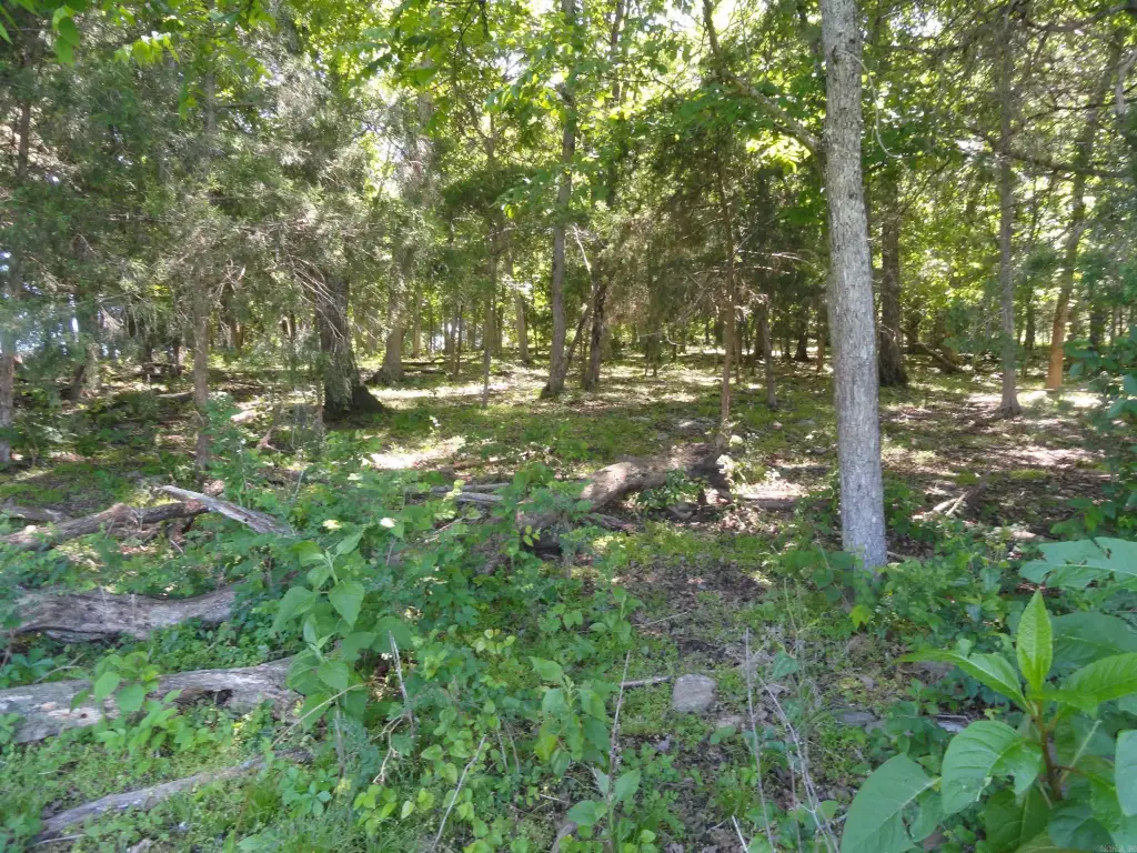 Picture 8