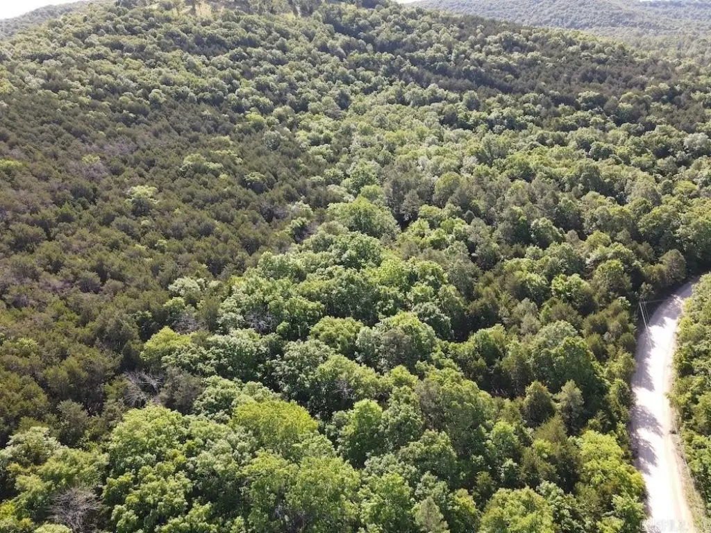 Picture 25