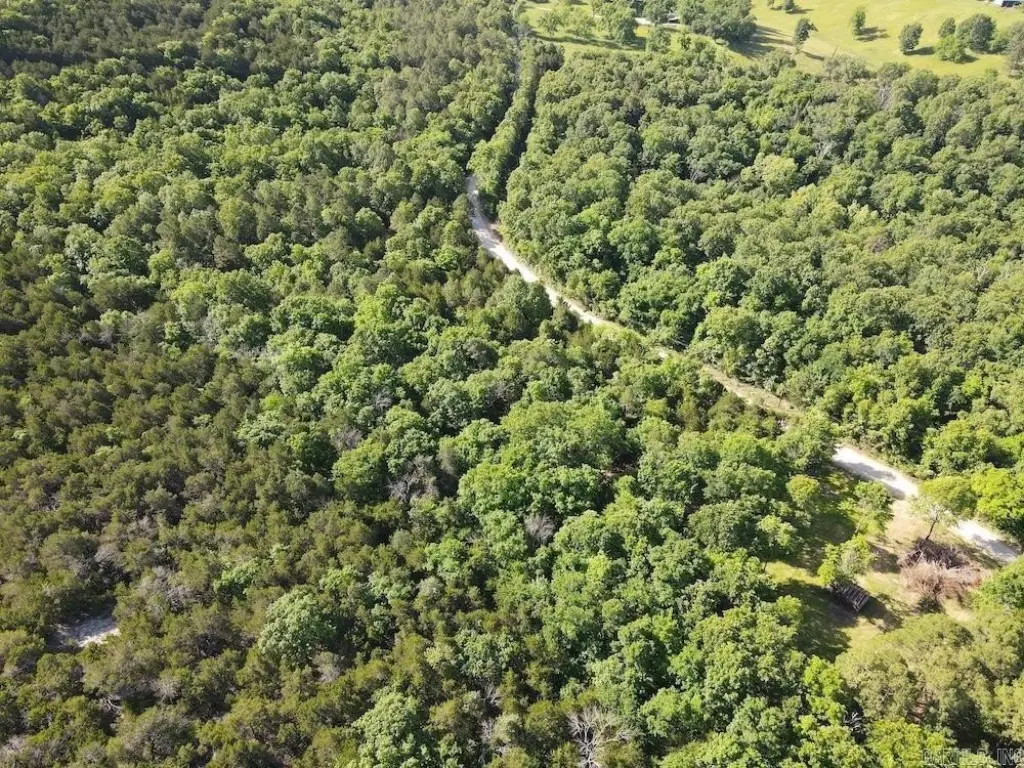 Picture 29