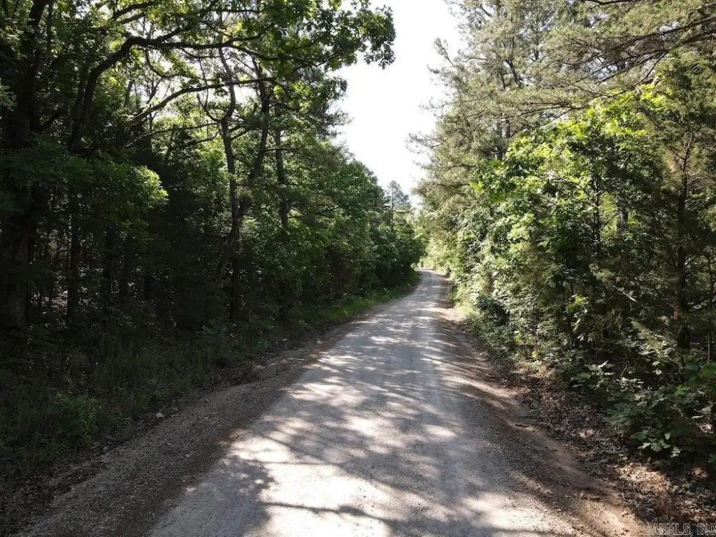Picture 13