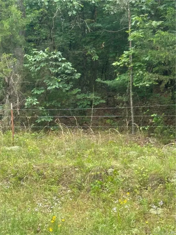 Picture 4
