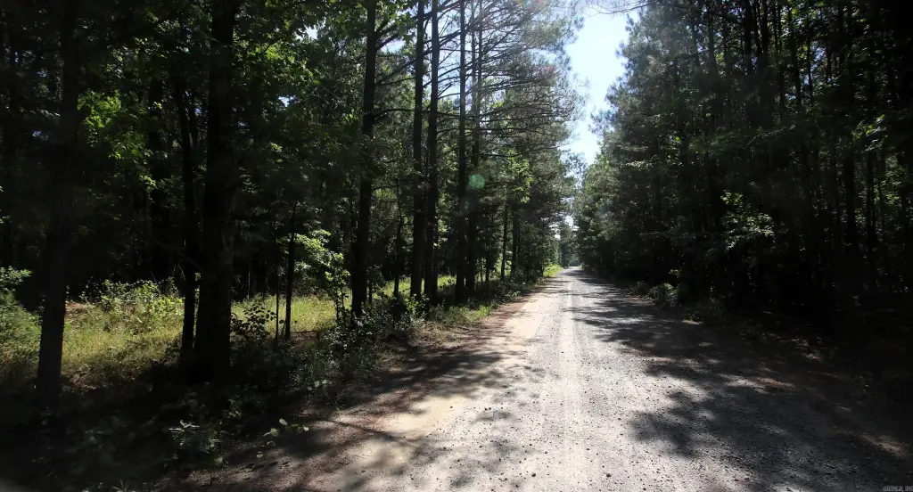Picture 30