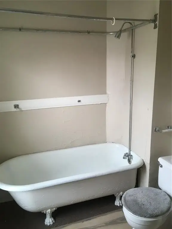 Picture 8