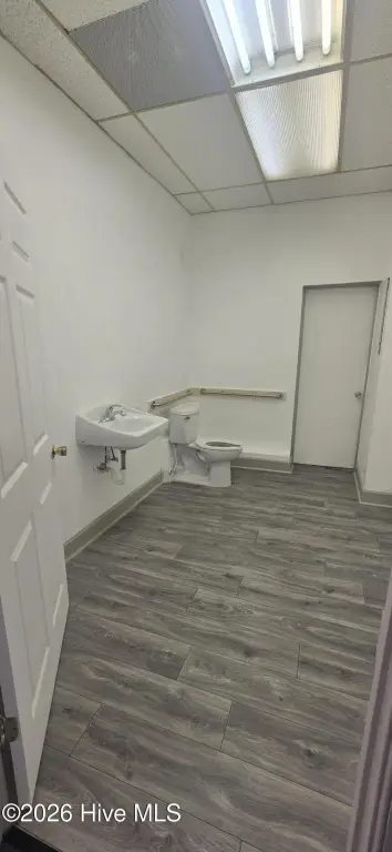 Picture 15