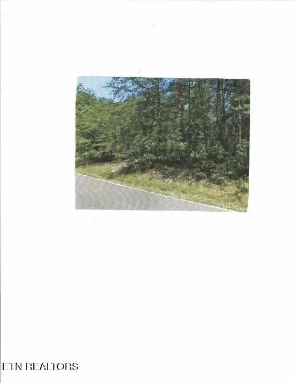 Picture 3
