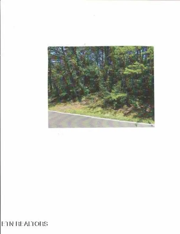 Picture 2
