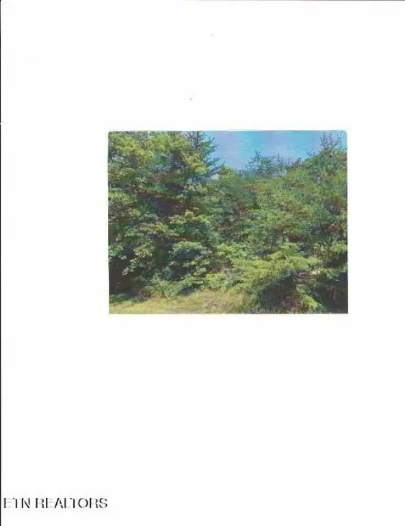 Picture 4