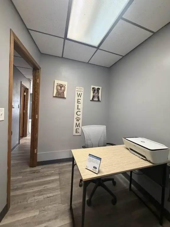 Picture 16