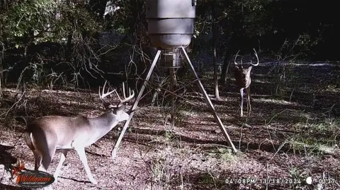 Palo Pinto Land with River Access