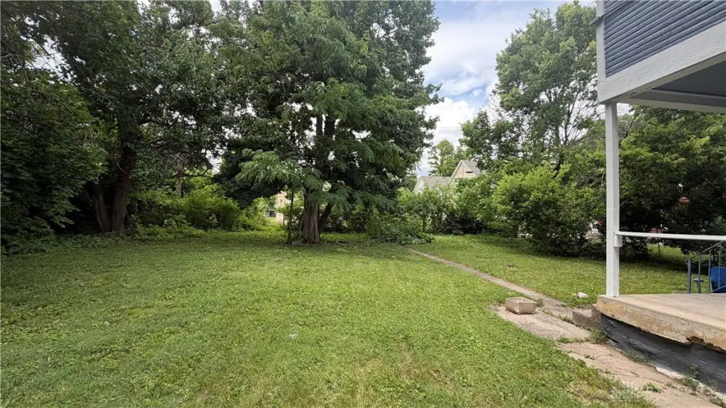 Picture 23
