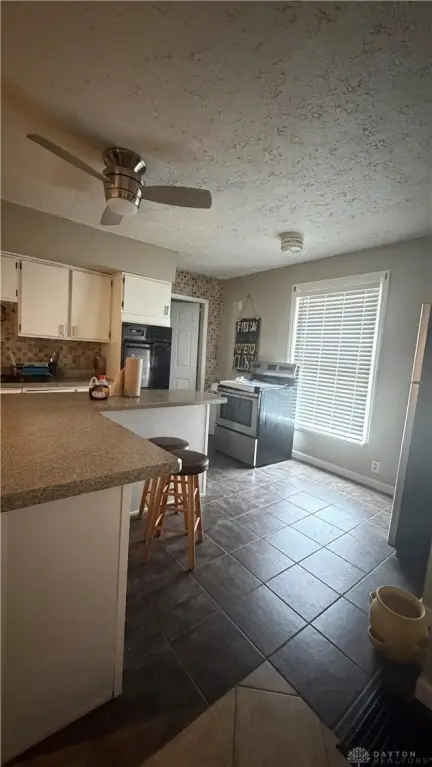 Picture 11