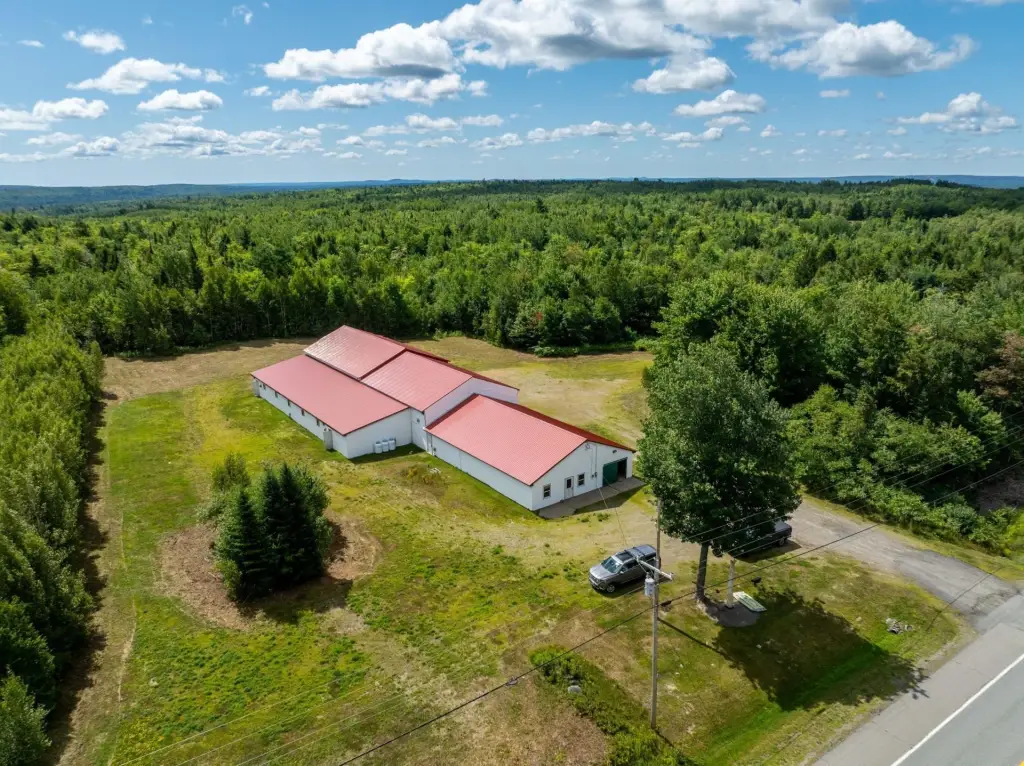 Picture 6
