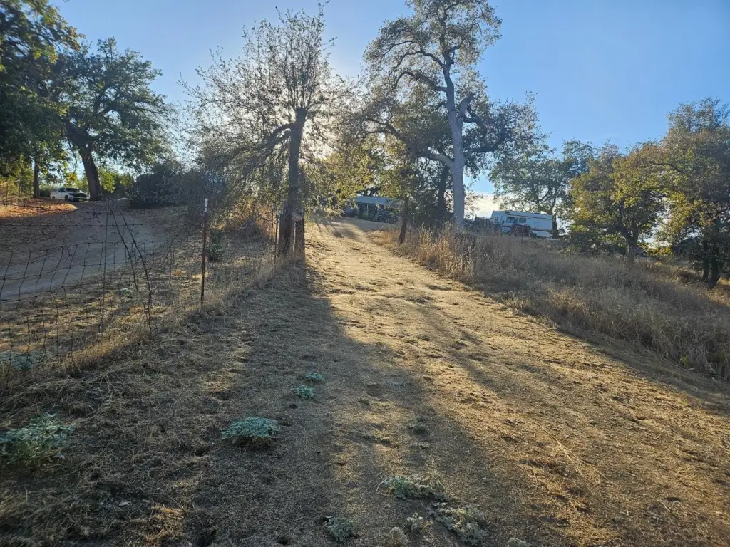 Picture 3