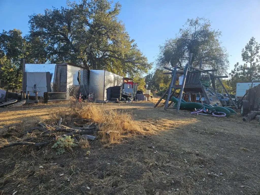 Picture 5