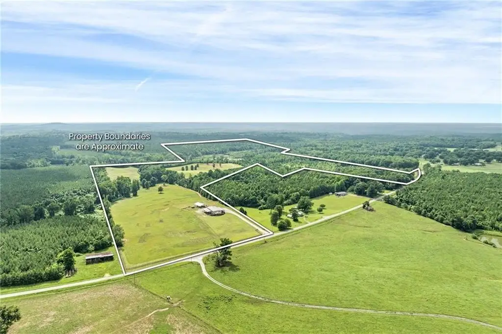 Picture 40