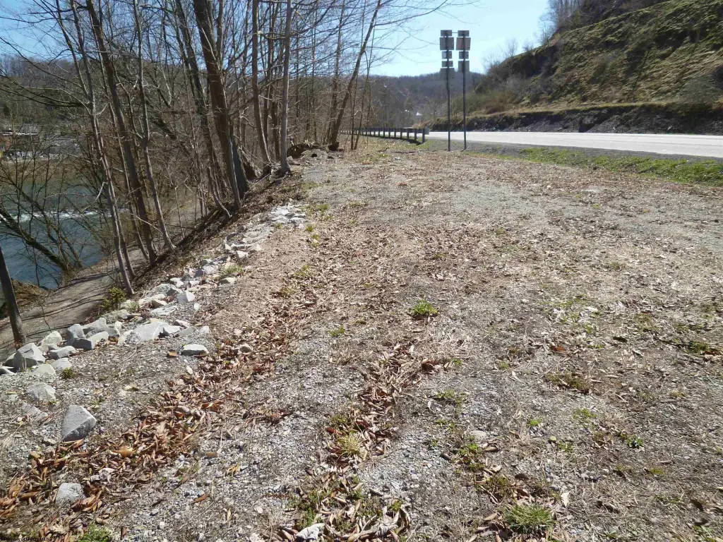 Picture 5