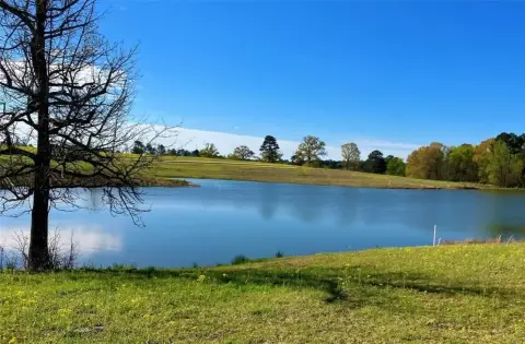 Waterfront Land in Big Sandy, TX