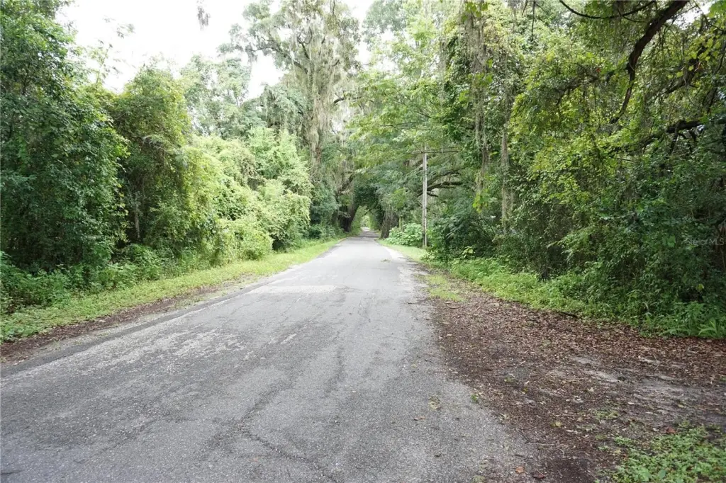 Picture 16