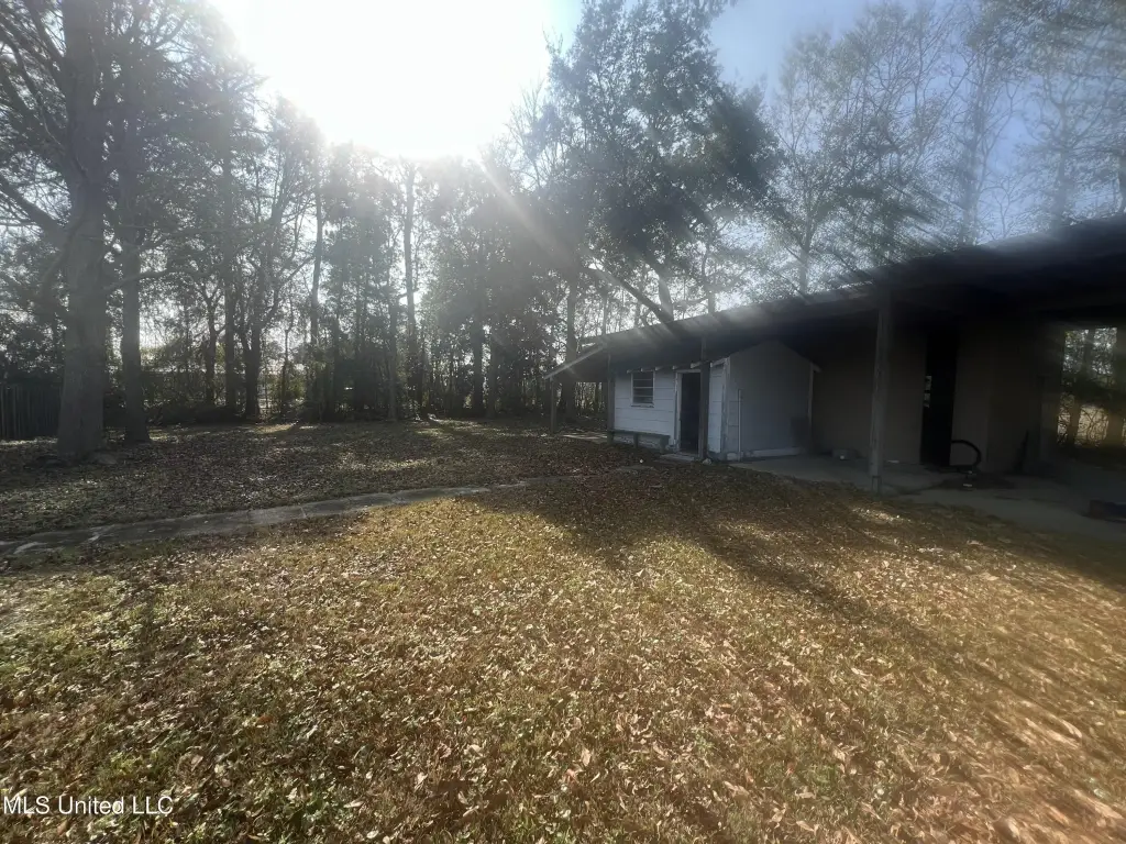 Picture 2