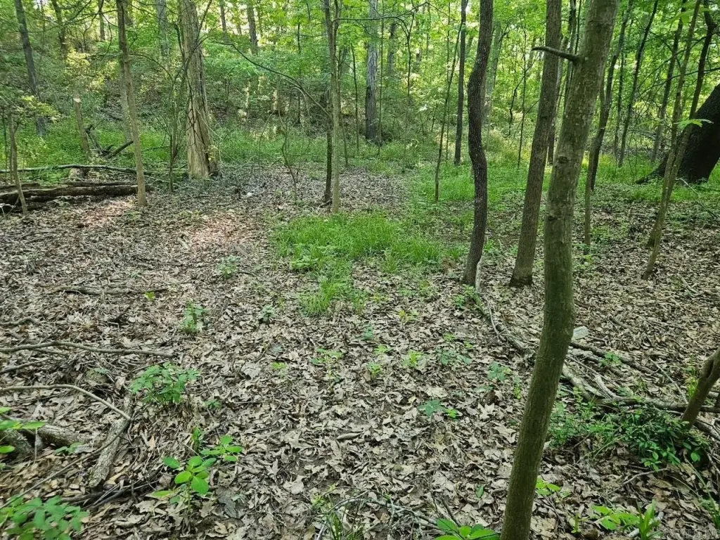 Picture 4