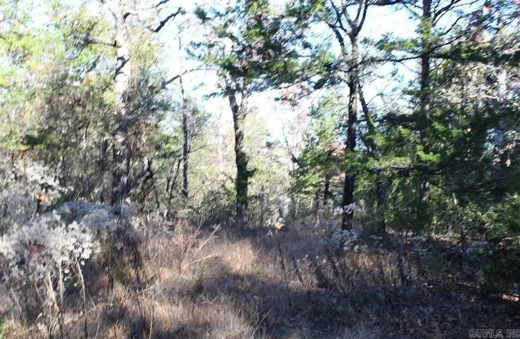 Picture 7