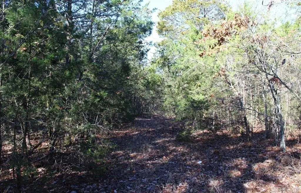 Picture 9