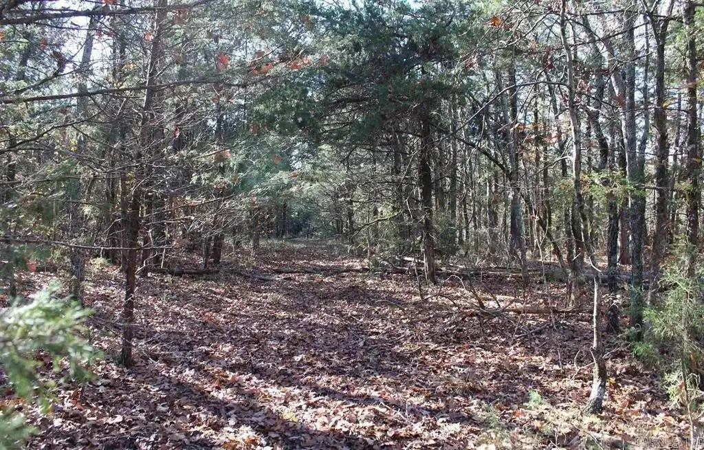 Picture 3