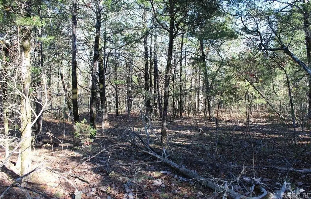 Picture 5