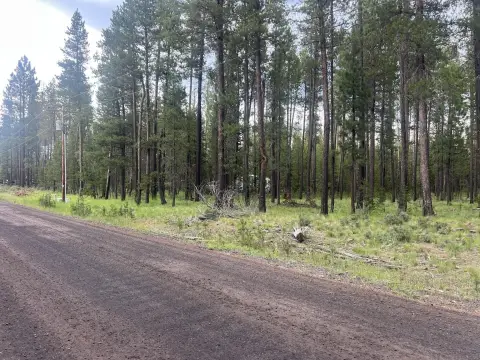 Land in Central Oregon