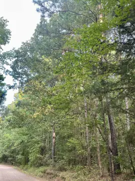 12 Acres of Timberland