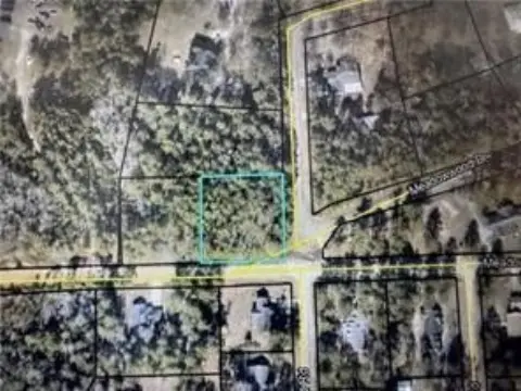 Residential Lot in Palm Island