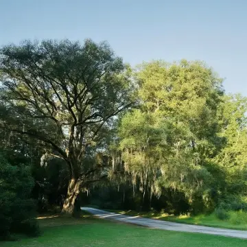 Residential Lot in Coastal Subdivision