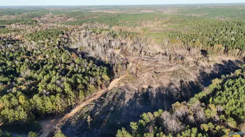 37.7 Acres in Hamilton, AL