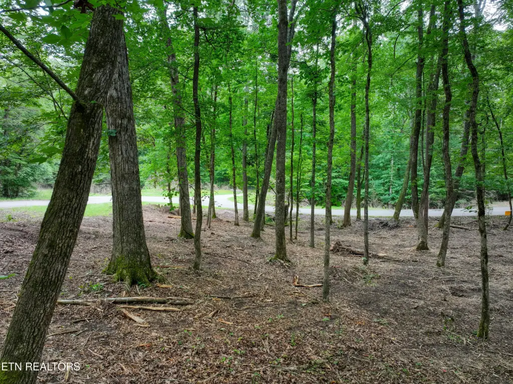 Picture 13