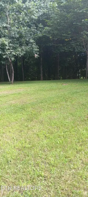 Picture 34