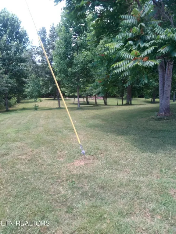 Picture 17
