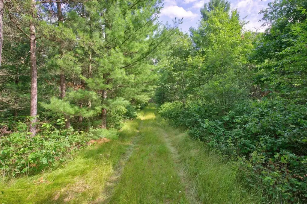 Picture 20