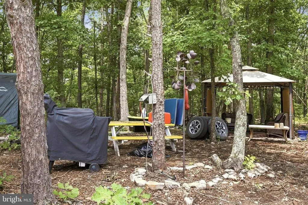 Picture 8