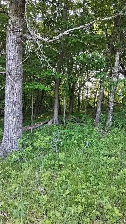 Picture 18
