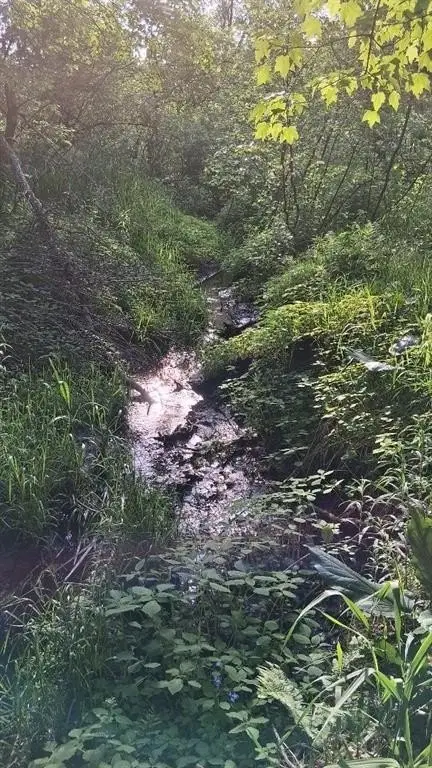 Picture 11