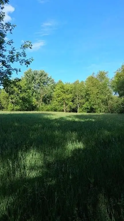 Picture 13
